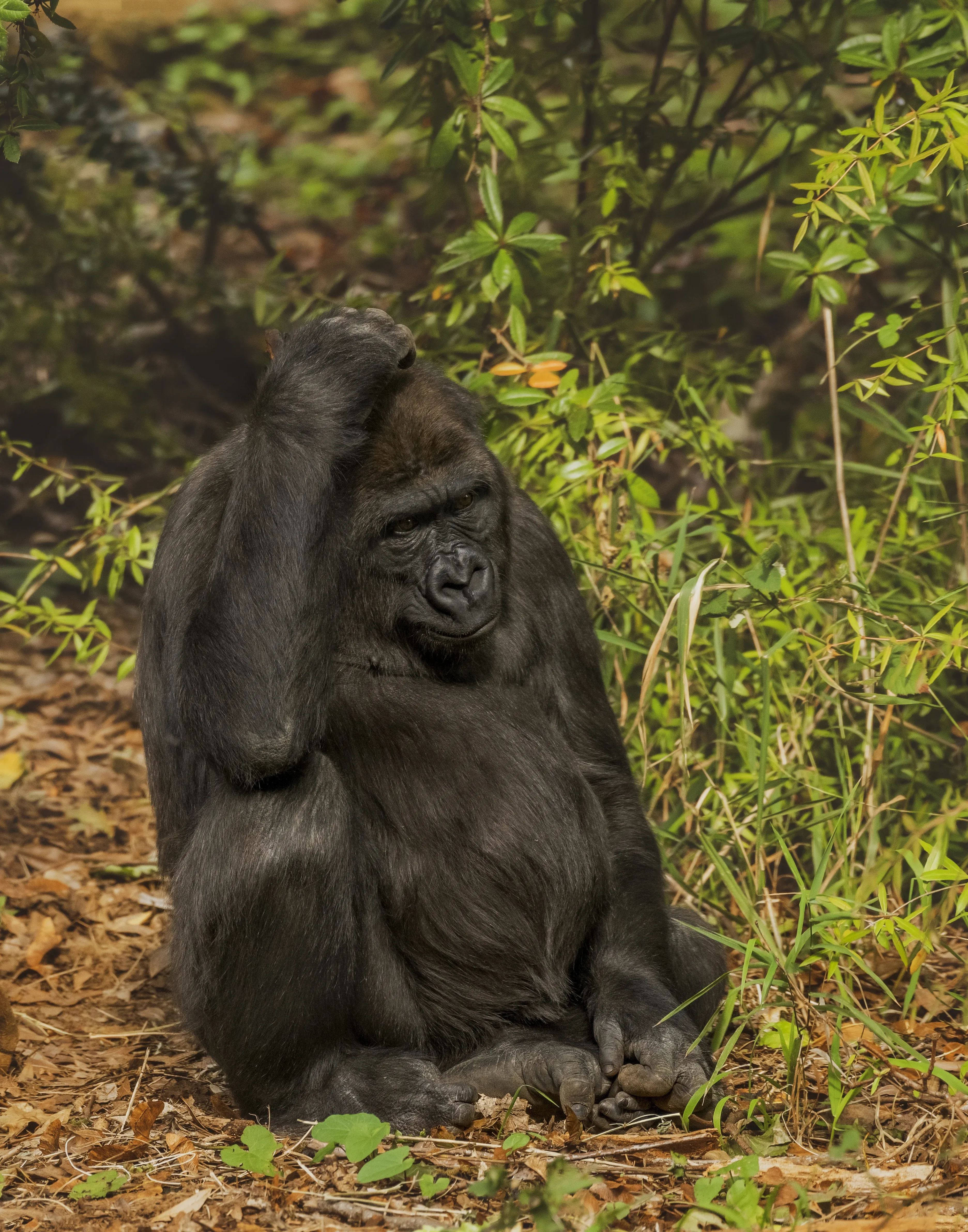 Cultural experience Uganda